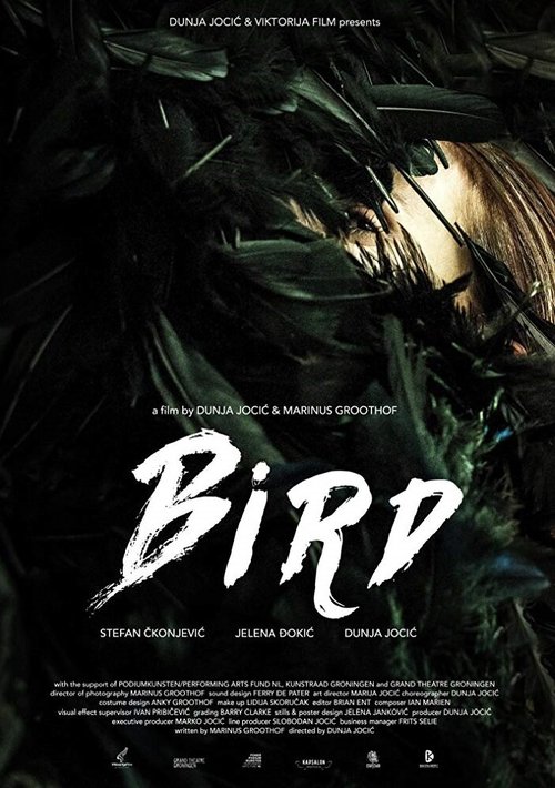 Смотреть фильм Bird (2015) онлайн 