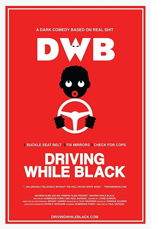 Быть чёрным за рулём / Driving While Black