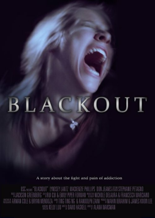 Смотреть фильм Blackout (2014) онлайн 