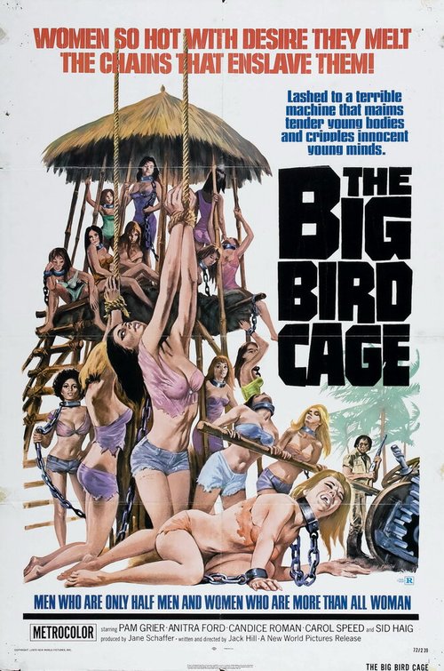 Смотреть фильм Большая клетка для птиц / The Big Bird Cage (1972) онлайн в хорошем качестве SATRip