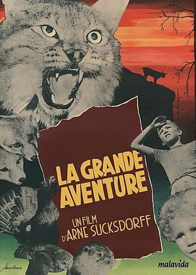 Смотреть фильм Большое приключение / Det stora äventyret (1953) онлайн в хорошем качестве SATRip