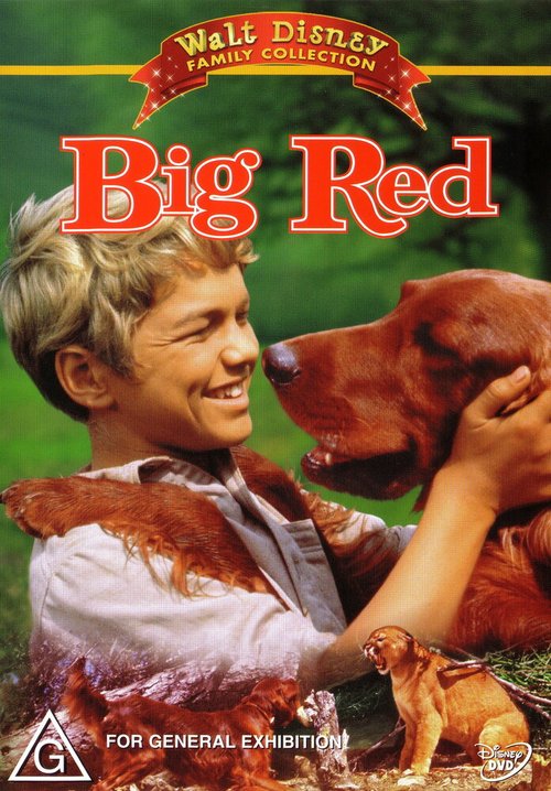 Смотреть фильм Большой Ред / Big Red (1962) онлайн в хорошем качестве SATRip