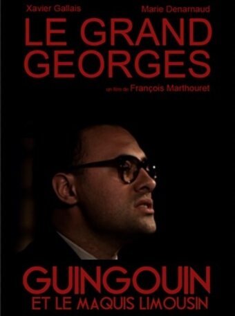 Смотреть фильм Большой Жорж / Le grand Georges (2012) онлайн в хорошем качестве HDRip