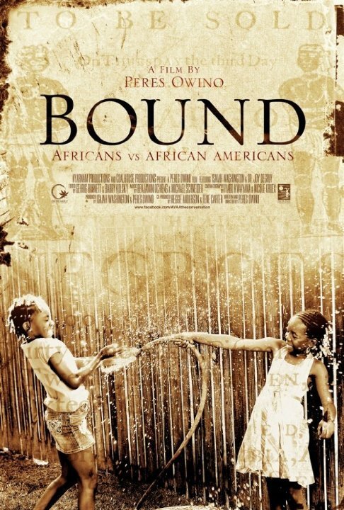 Смотреть фильм Bound: Africans versus African Americans (2014) онлайн в хорошем качестве HDRip
