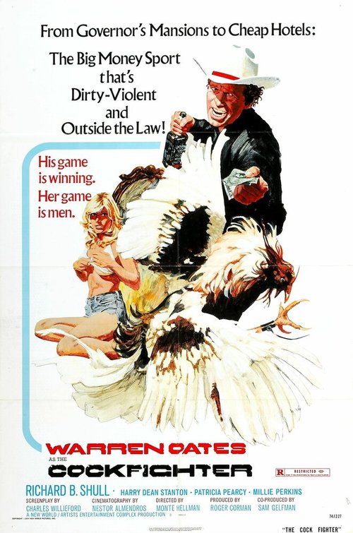 Смотреть фильм Бойцовский петух / Cockfighter (1974) онлайн в хорошем качестве SATRip