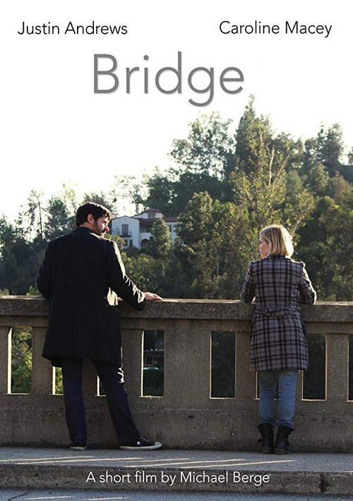 Смотреть фильм Bridge (2014) онлайн 