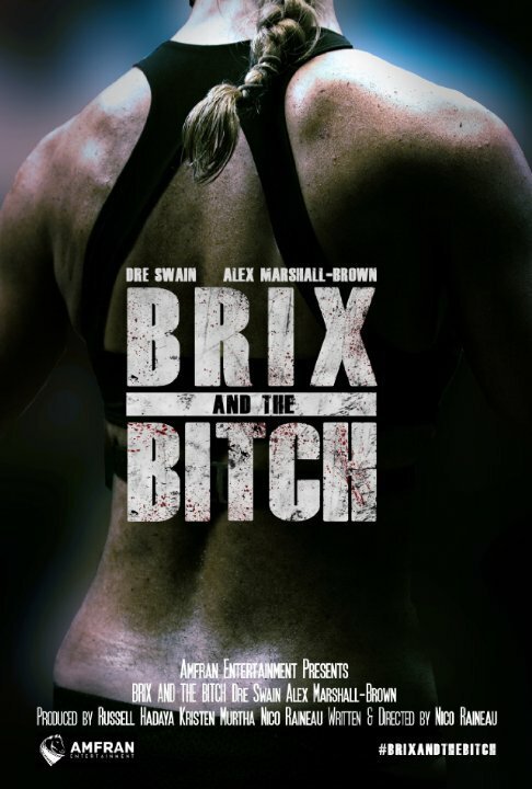 Смотреть фильм Брикс и сука / Brix and the Bitch (2016) онлайн 