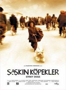 Смотреть фильм Бродячие собаки / Sag-haye velgard (2004) онлайн в хорошем качестве HDRip