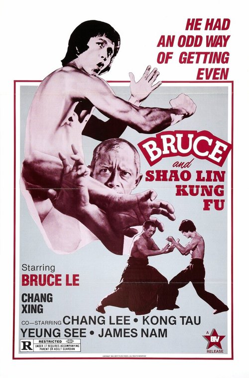 Смотреть фильм Брюс и кунг-фу монастыря Шао-Линь / Da mo tie zhi gong (1977) онлайн в хорошем качестве SATRip