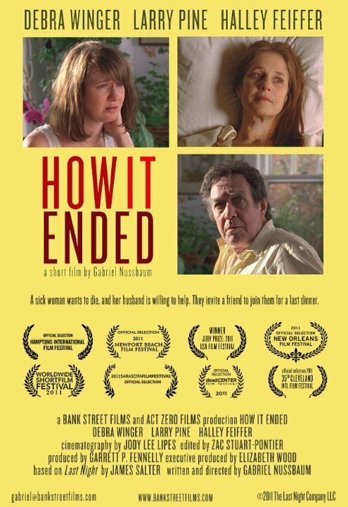 Смотреть фильм Чем это закончилось / How It Ended (2011) онлайн 
