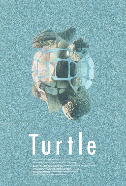 Черепаха / Turtle