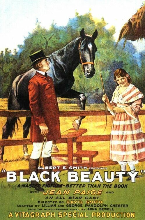 Черная красавица / Black Beauty