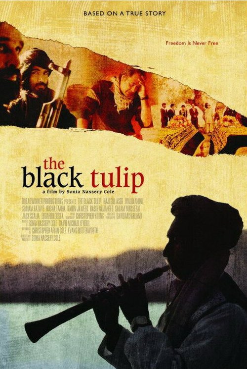 Смотреть фильм Черный тюльпан / The Black Tulip (2010) онлайн в хорошем качестве HDRip
