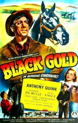 Смотреть фильм Черное золото / Black Gold (1947) онлайн в хорошем качестве SATRip