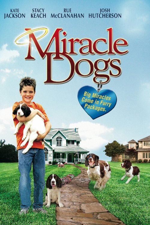 Смотреть фильм Чудесные псы / Miracle Dogs (2003) онлайн в хорошем качестве HDRip