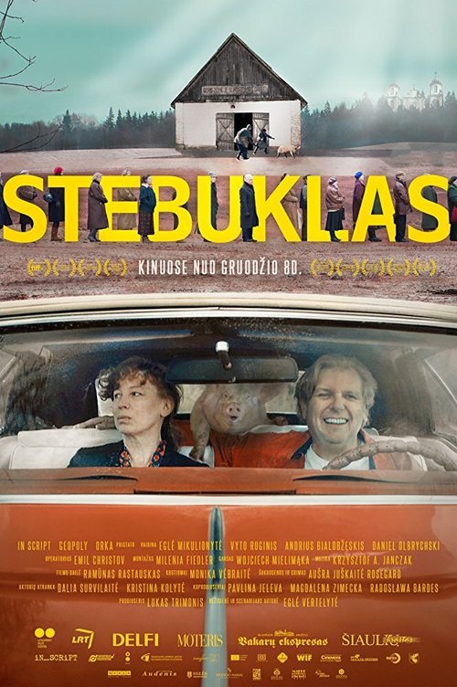 Смотреть фильм Чудо / Stebuklas (2017) онлайн в хорошем качестве HDRip