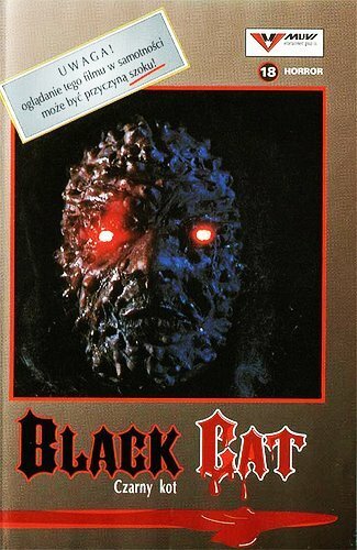 Смотреть фильм Чёрная кошка / Il gatto nero (1990) онлайн в хорошем качестве HDRip
