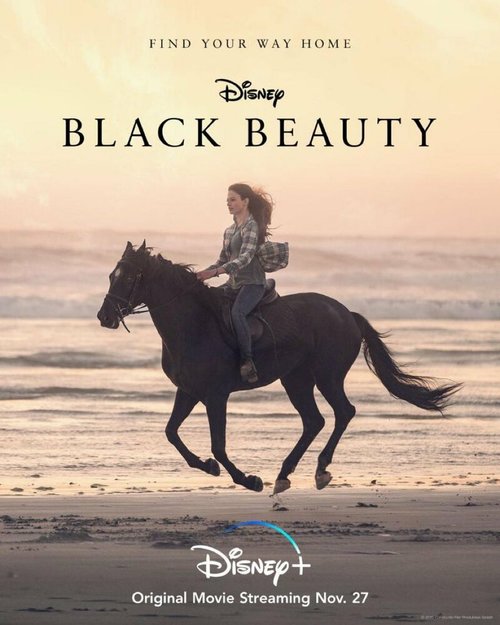 Смотреть фильм Чёрная Красавица / Black Beauty (2020) онлайн в хорошем качестве HDRip