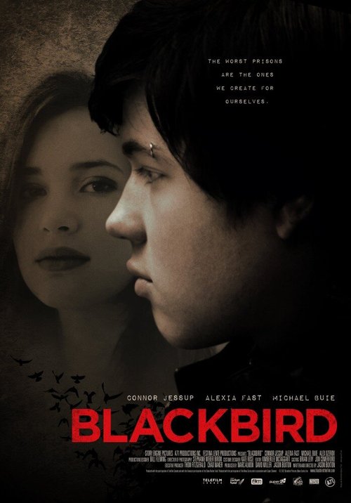 Смотреть фильм Чёрный дрозд / Blackbird (2012) онлайн в хорошем качестве HDRip