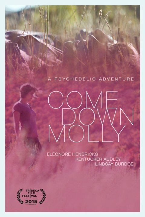 Смотреть фильм Come Down Molly (2015) онлайн в хорошем качестве HDRip