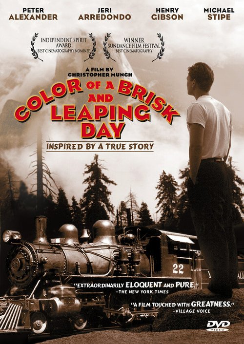 Смотреть фильм Цвет мерцающего дня / Color of a Brisk and Leaping Day (1996) онлайн в хорошем качестве HDRip