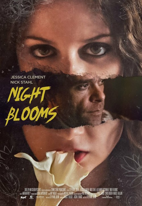 Смотреть фильм Цветы ночи / Night Blooms  онлайн 