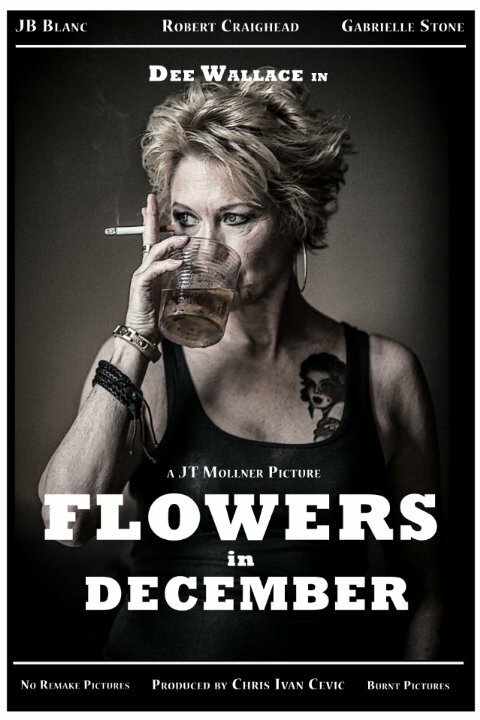 Смотреть фильм Цветы в декабре / Flowers in December (2015) онлайн 