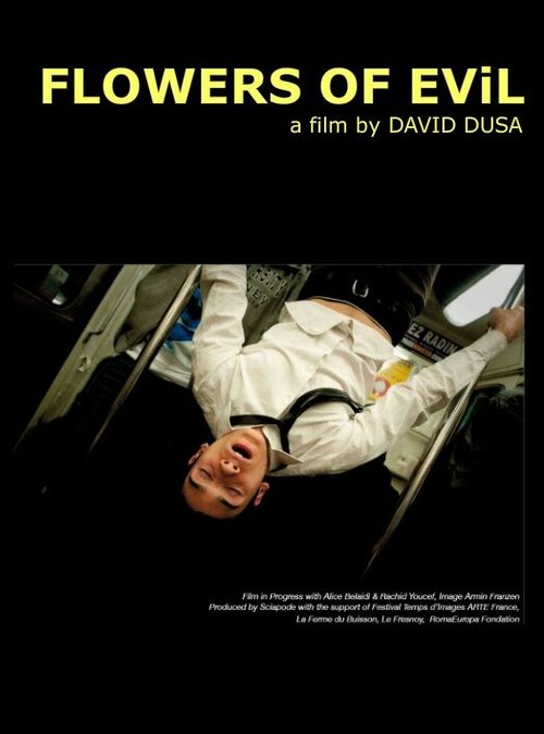 Смотреть фильм Цветы зла / Fleurs du mal (2010) онлайн в хорошем качестве HDRip
