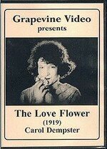 Смотреть фильм Цветок любви / The Love Flower (1920) онлайн в хорошем качестве SATRip