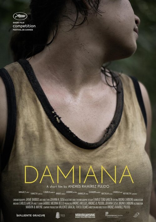 Смотреть фильм Дамиана / Damiana (2017) онлайн 
