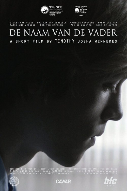 Смотреть фильм De Naam van de Vader (2012) онлайн 