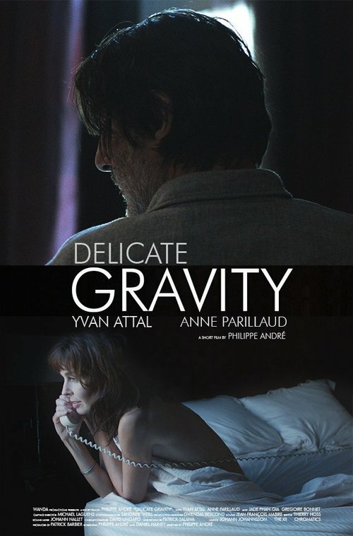 Смотреть фильм Деликатная серьезность / Délicate gravité (2013) онлайн в хорошем качестве HDRip