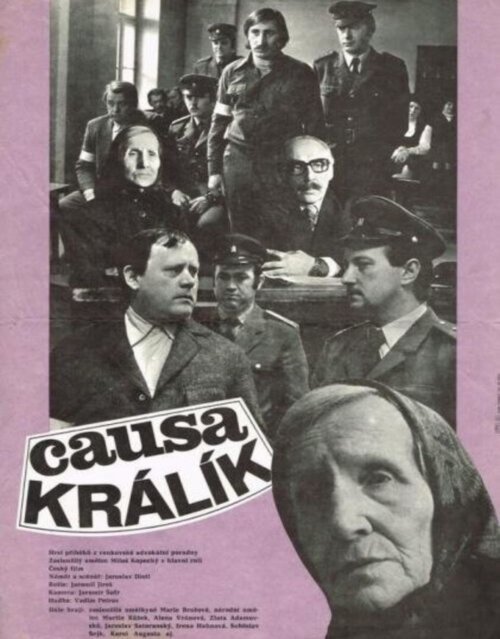 Смотреть фильм Дело кролика / Causa králík (1979) онлайн в хорошем качестве SATRip