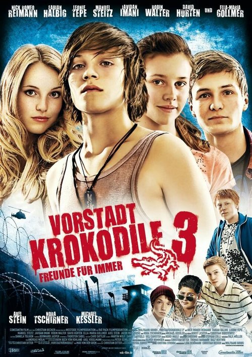 Смотреть фильм Деревенские крокодилы 3 / Vorstadtkrokodile 3 (2011) онлайн в хорошем качестве HDRip