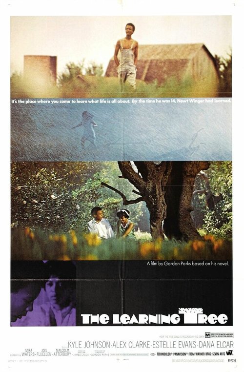 Смотреть фильм Дерево науки / The Learning Tree (1969) онлайн в хорошем качестве SATRip