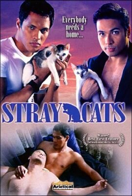 Смотреть фильм Дикие коты / Mga pusang gala (2005) онлайн в хорошем качестве HDRip