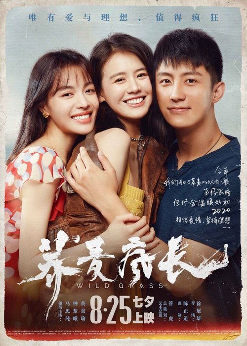 Смотреть фильм Дикие травы / Qiao mai feng zhang (2020) онлайн в хорошем качестве HDRip