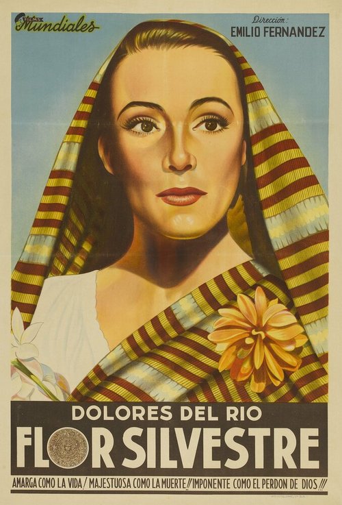 Смотреть фильм Дикий цветок / Flor silvestre (1943) онлайн в хорошем качестве SATRip