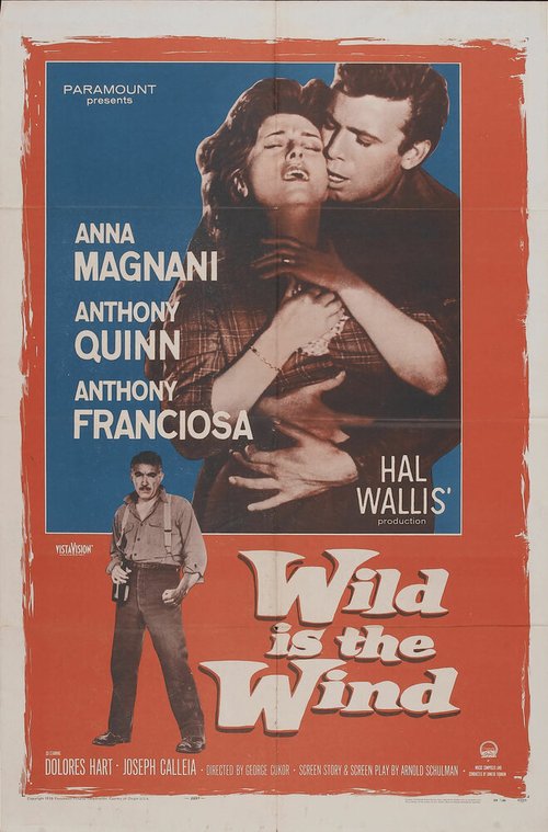 Смотреть фильм Дикий ветер / Wild Is the Wind (1957) онлайн в хорошем качестве SATRip
