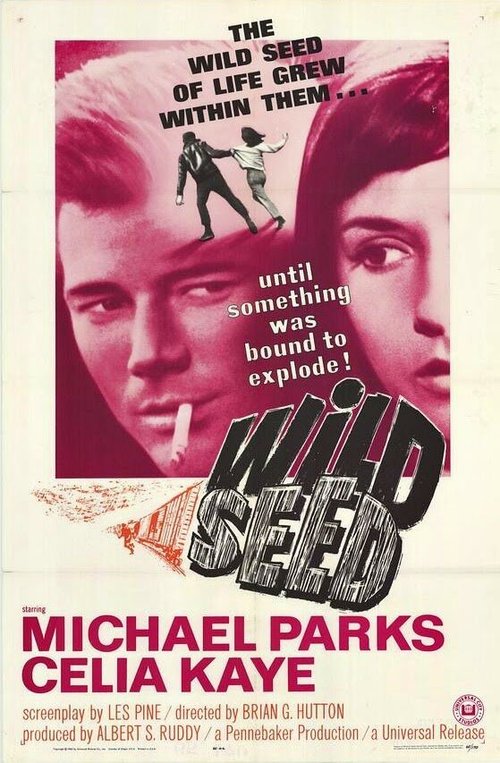 Смотреть фильм Дикое семя / Wild Seed (1965) онлайн в хорошем качестве SATRip