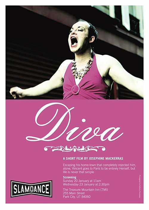 Смотреть фильм Diva (2007) онлайн 