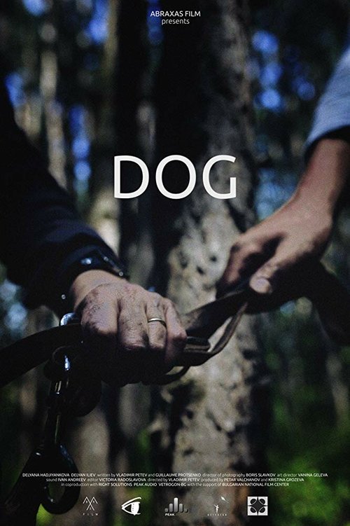 Смотреть фильм Dog (2016) онлайн в хорошем качестве CAMRip