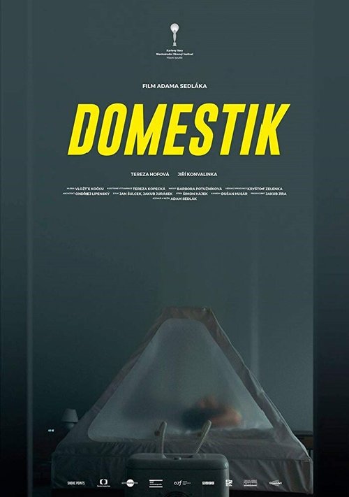 Смотреть фильм Домашний режим / Domestik (2018) онлайн в хорошем качестве HDRip