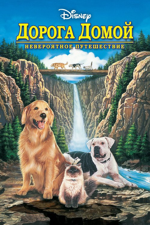 Смотреть фильм Дорога домой: Невероятное путешествие / Homeward Bound: The Incredible Journey (1993) онлайн в хорошем качестве HDRip