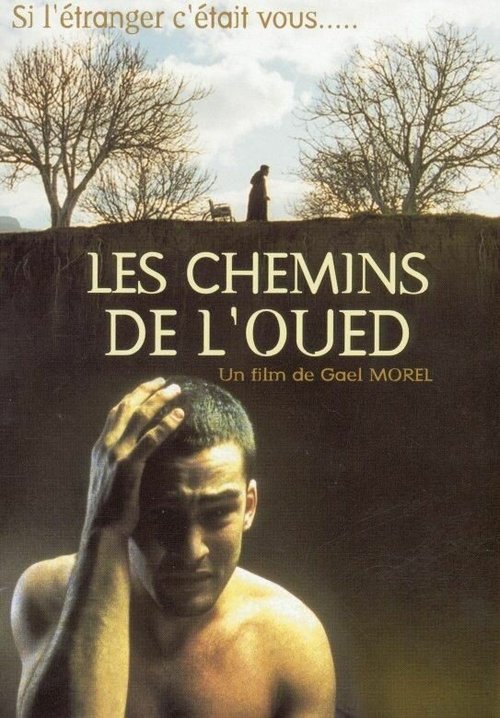 Смотреть фильм Дороги в пустыне / Les chemins de l'oued (2002) онлайн в хорошем качестве HDRip