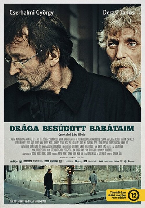 Смотреть фильм Дорогие преданные друзья / Drága besúgott barátaim (2012) онлайн в хорошем качестве HDRip