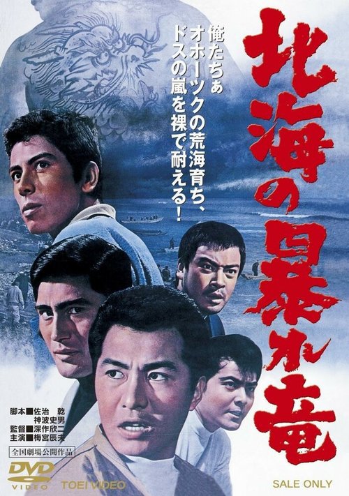 Смотреть фильм Дракон, буйствующий в Северном море / Hokkai no Abare-Ryu (1966) онлайн в хорошем качестве SATRip