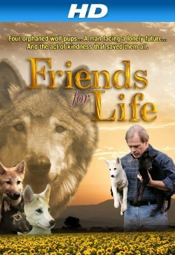 Смотреть фильм Друзья навек / Friends for Life (2008) онлайн в хорошем качестве HDRip