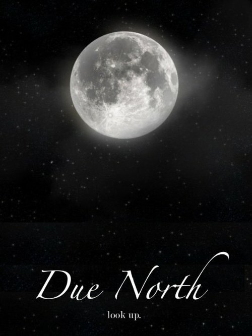 Смотреть фильм Due North (2014) онлайн 