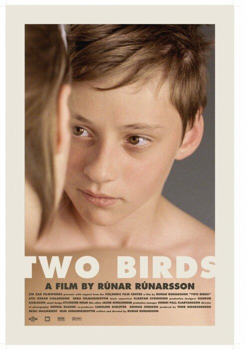 Смотреть фильм Две птицы / Smáfuglar (2008) онлайн 